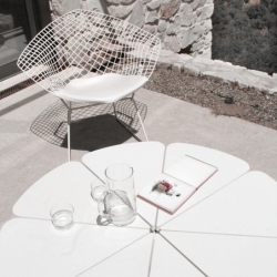 PETAL COFFEE - Coffee Table - Designer Furniture - Silvera Uk