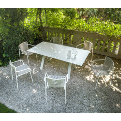 TRIBECA 3665 - Dining Armchair - Designer Furniture - Silvera Uk